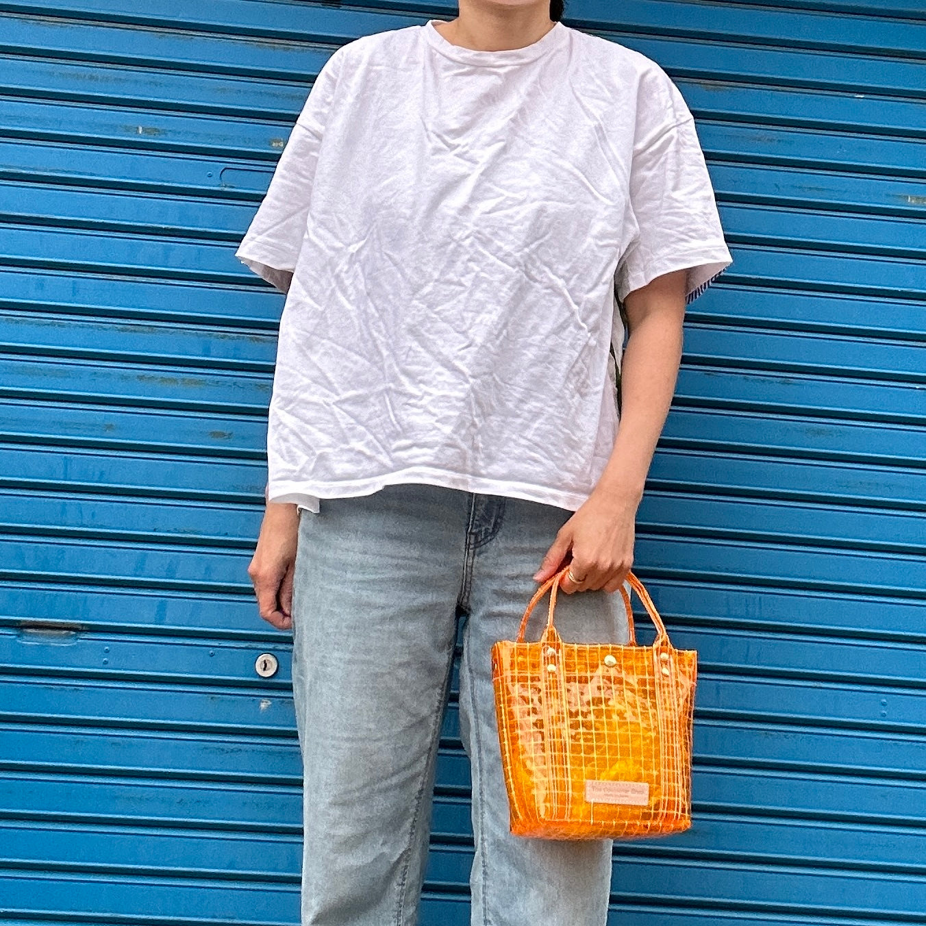 "Clear Bag" Industrial Materials(Clear Handle)/Tote S S