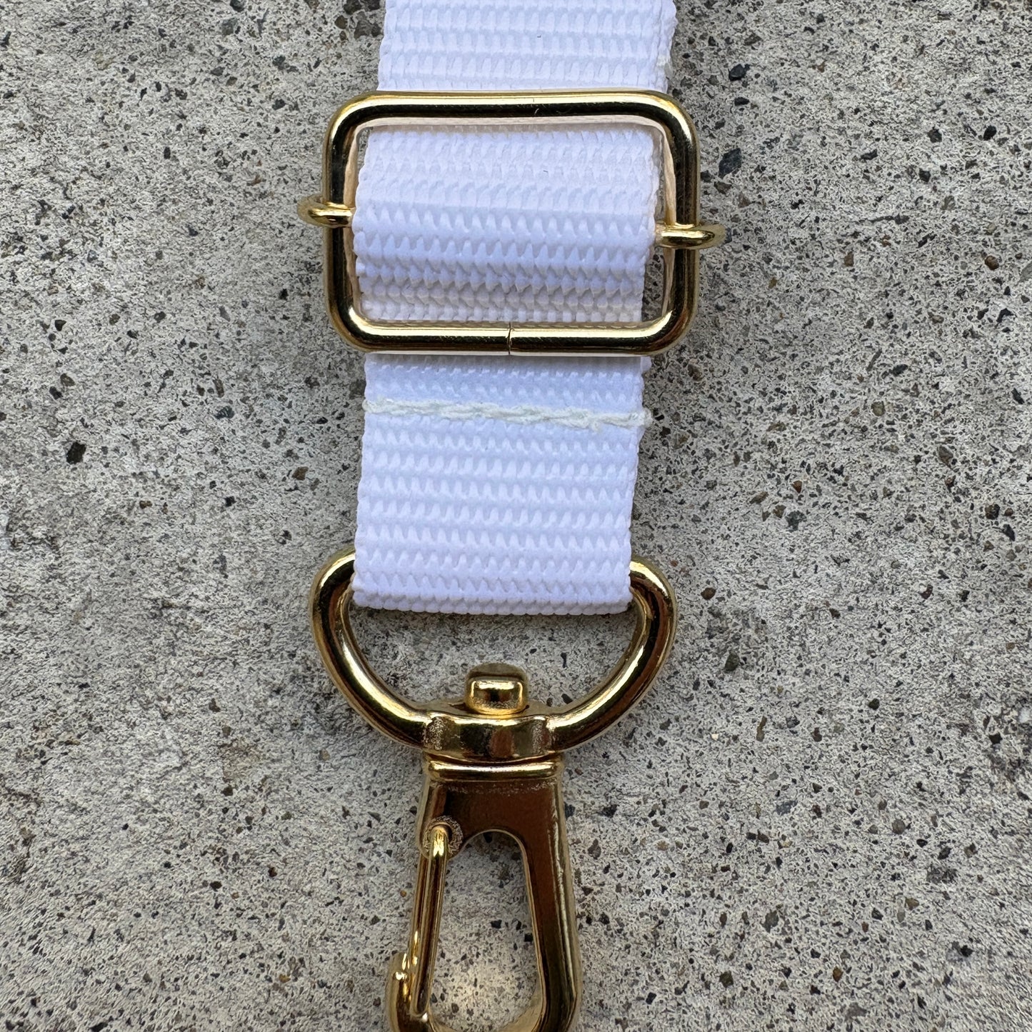 (Single item) <Limited quantity> Seasonal color belt
