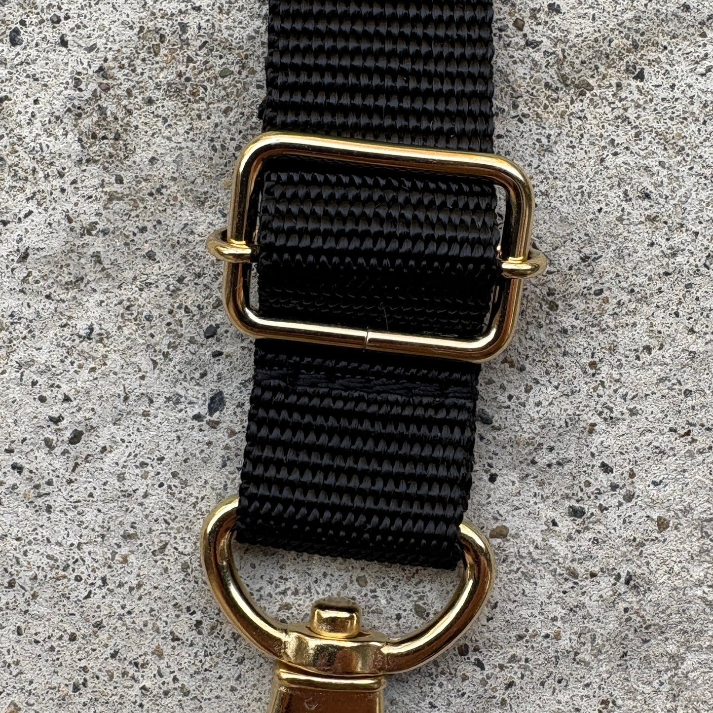 (Single item) <Limited quantity> Seasonal color belt