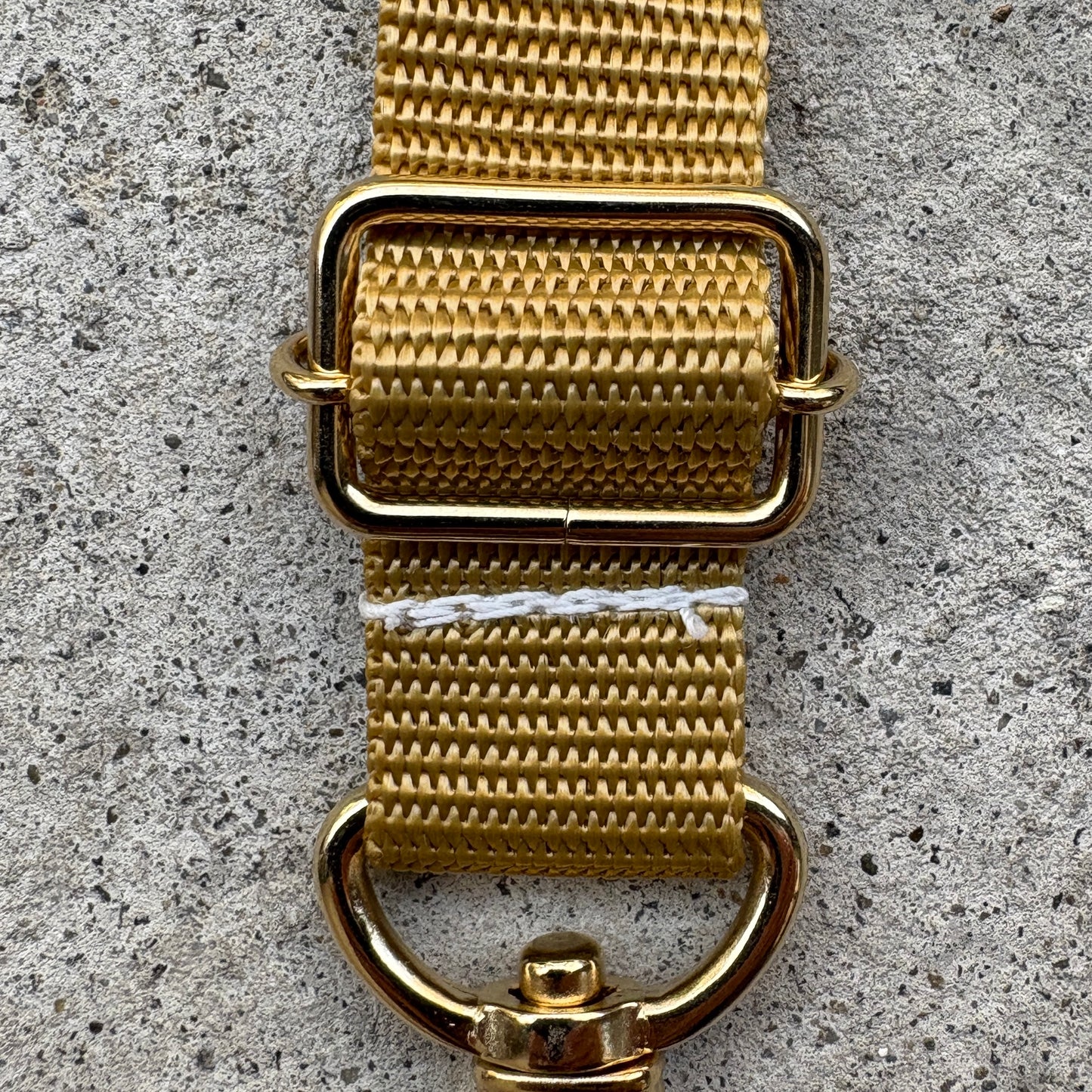 (Single item) <Limited quantity> Seasonal color belt