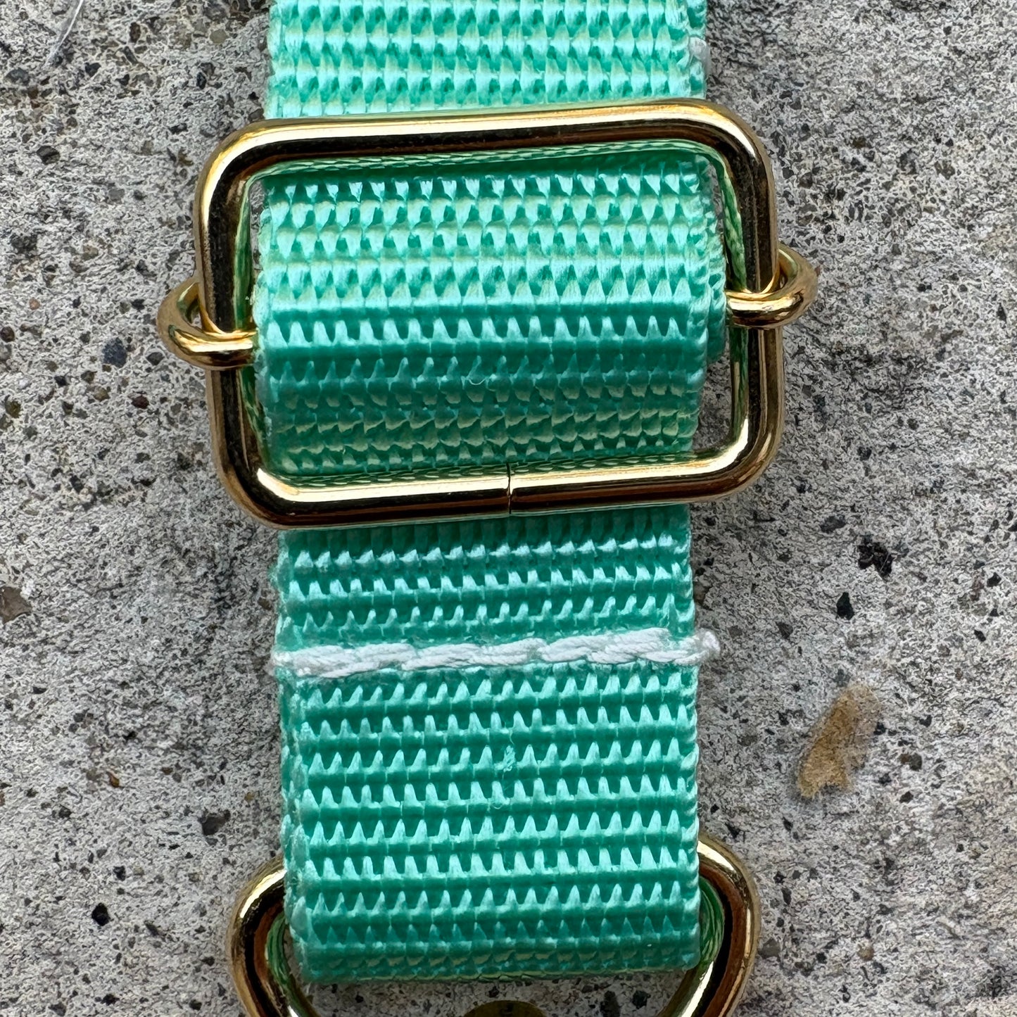 Polyester Belt