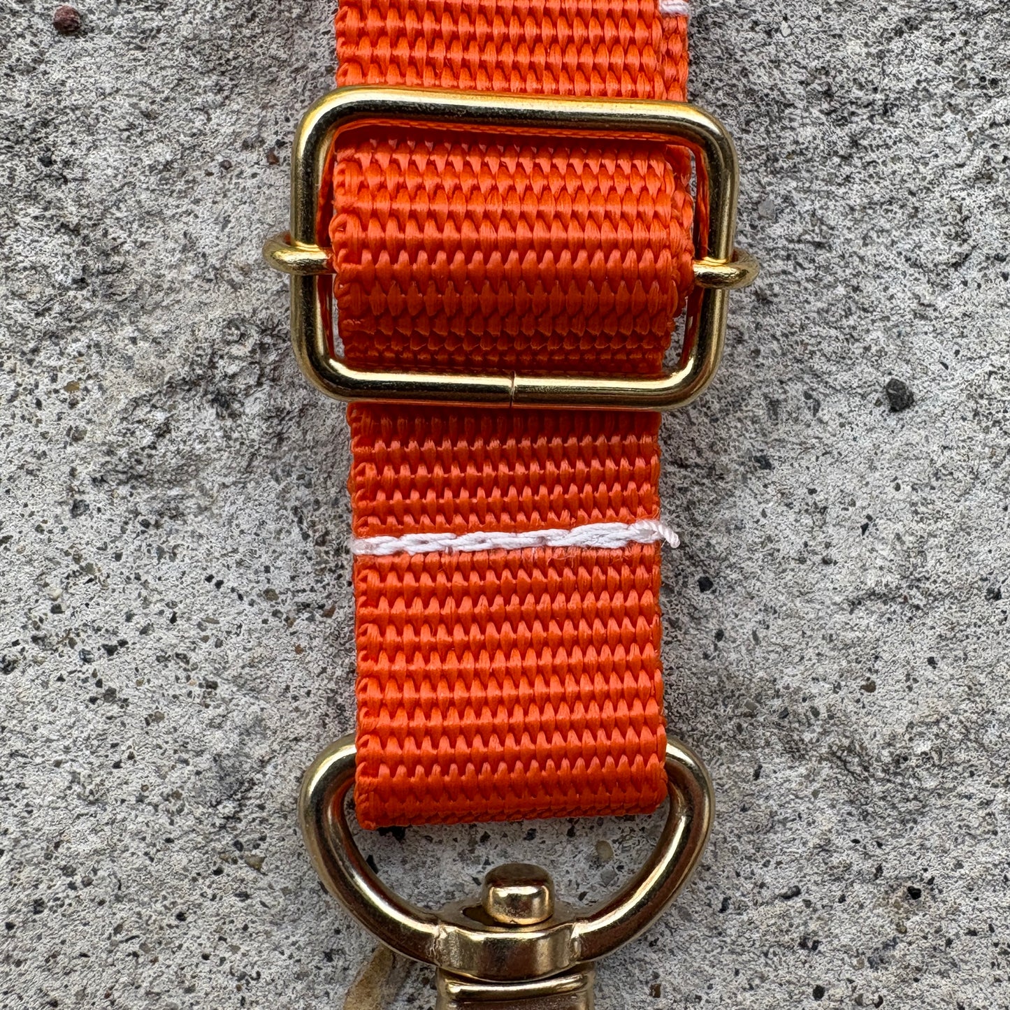 (Single item) <Limited quantity> Seasonal color belt