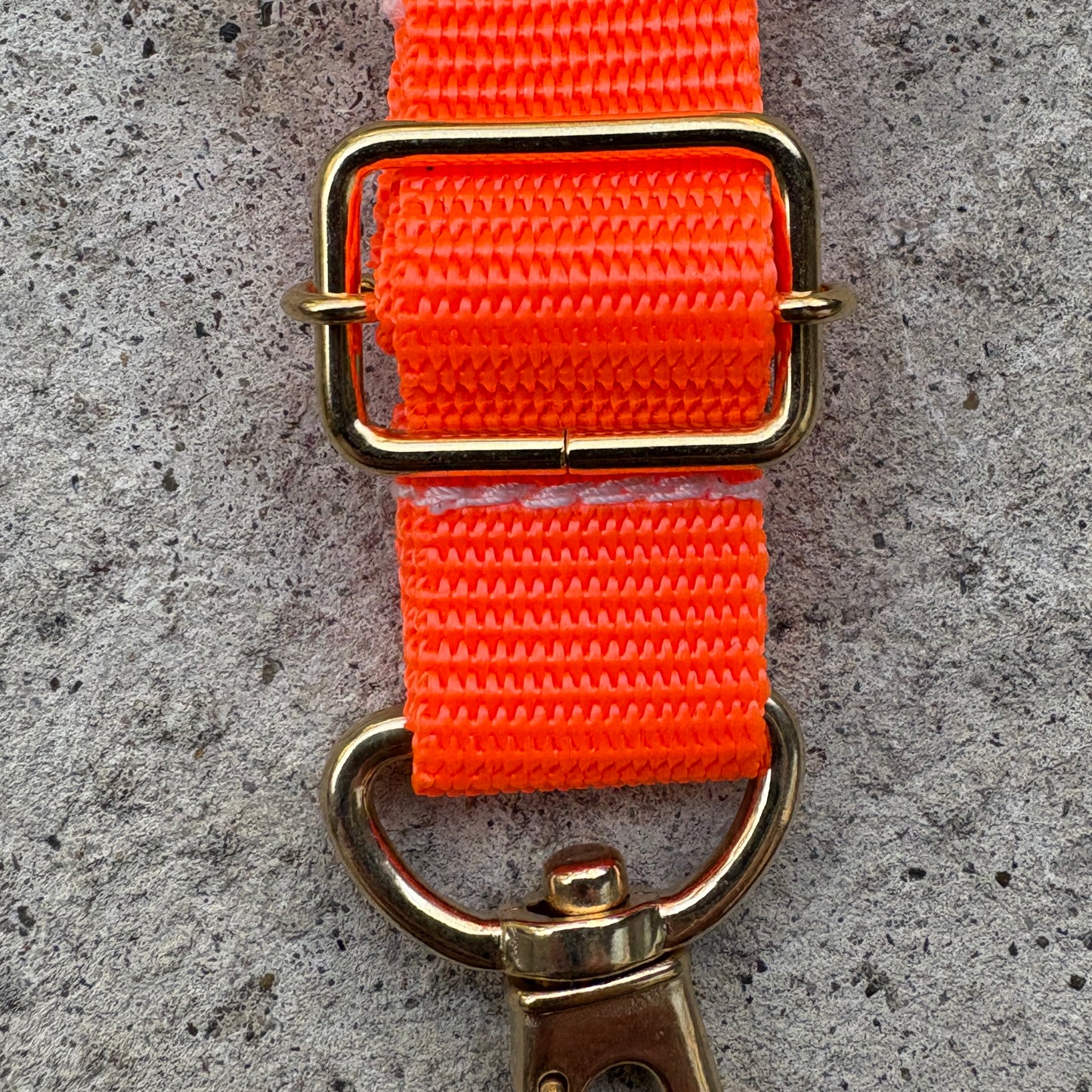 (Single item) <Limited quantity> Seasonal color belt