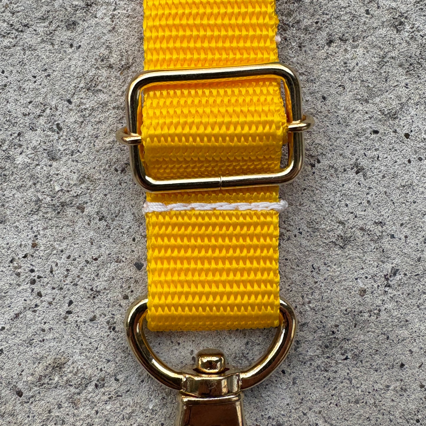 (Single item) <Limited quantity> Seasonal color belt