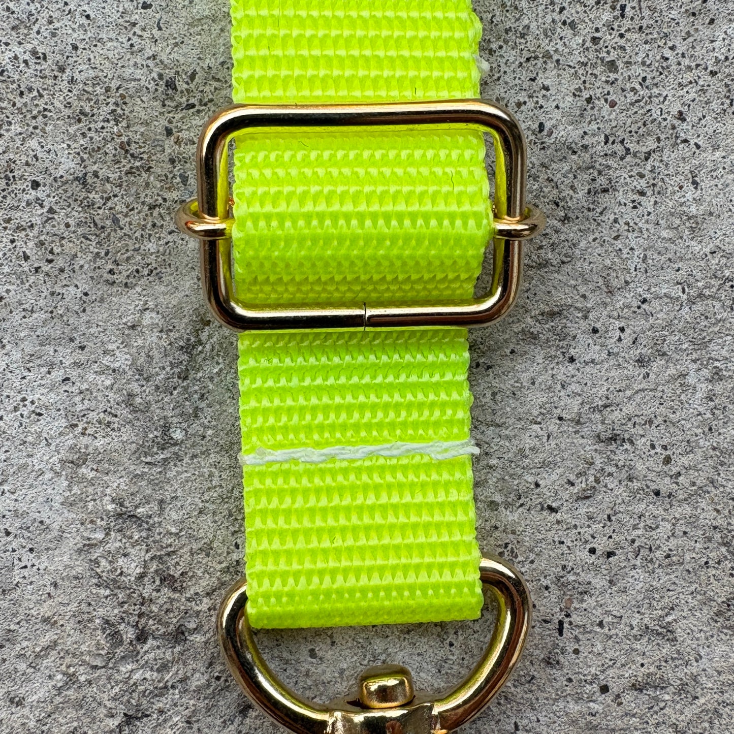 (Single item) <Limited quantity> Seasonal color belt