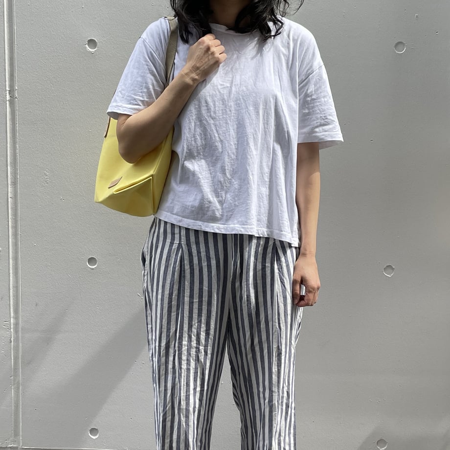 CANVAS/STANDARD(WM)