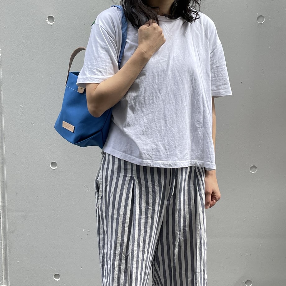CANVAS/STANDARD(WM)