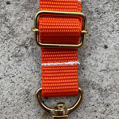 (Single item) &lt;Limited quantity&gt; Seasonal color belt