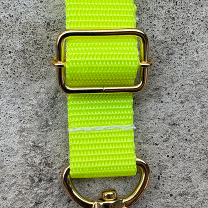 (Single item) &lt;Limited quantity&gt; Seasonal color belt