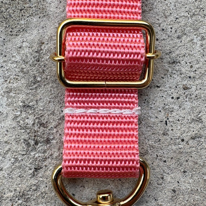 (Single item) &lt;Limited quantity&gt; Seasonal color belt