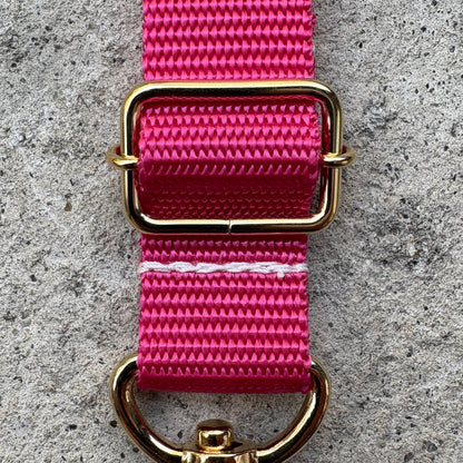 (Single item) &lt;Limited quantity&gt; Seasonal color belt