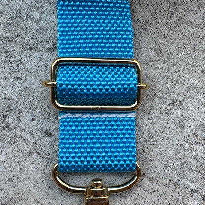 (Single item) &lt;Limited quantity&gt; Seasonal color belt